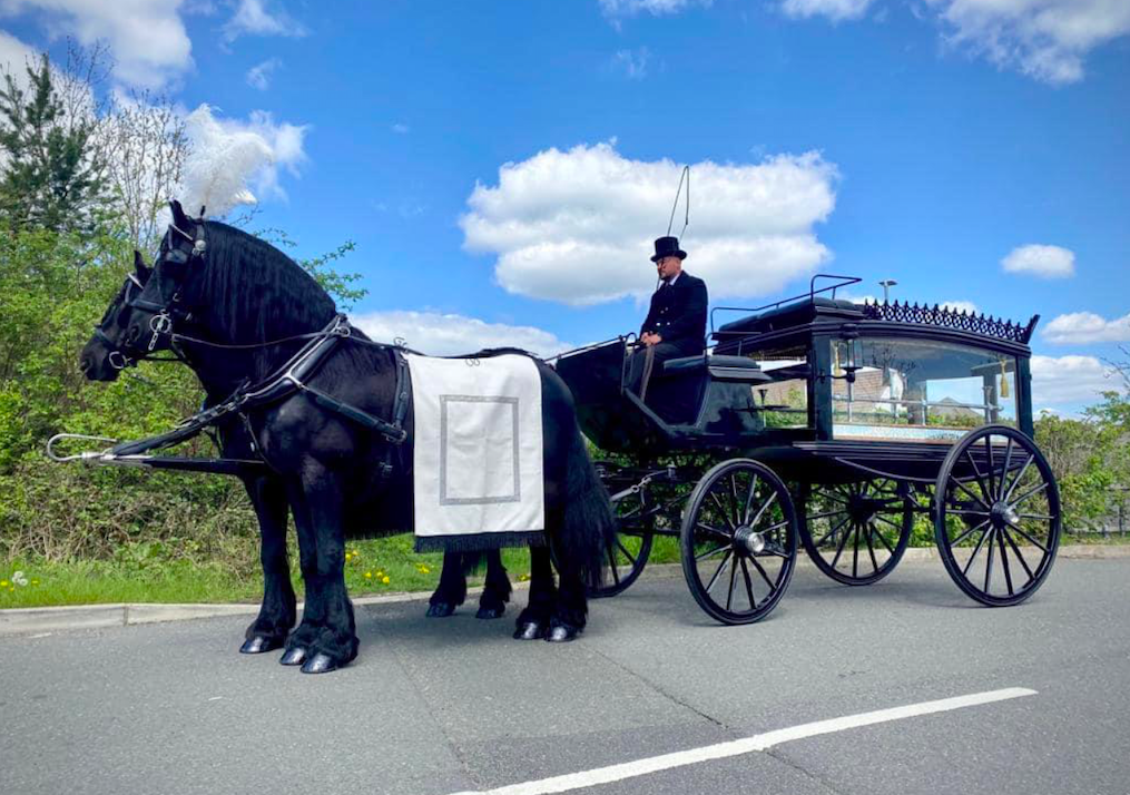 Horse Drawn Funerals Newport